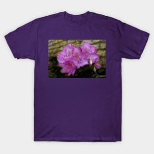 Hummingbird With Purple Flowers T-Shirt
